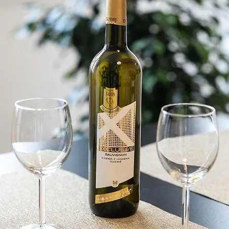 Spacious In The Old Town Of Bratislava